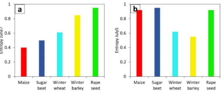 Fig. 7. Changes in ODR for α s1 and H for wheat and maize