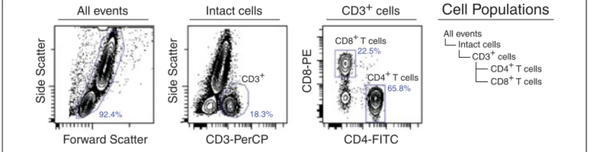 Figure 10.17.14 A hierarchy of the populations of cells present within the peripheral blood samples from the Phospho-Flow Cytokine Titration experiment
