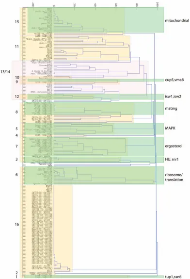 Fig. 6. Dendrogram of the dissimilarity measure of the 194 ECs. 1linkage algorithms used for hierarchical clustering