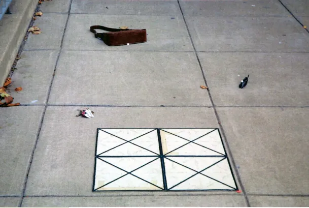 Figure 1: Example of photo-