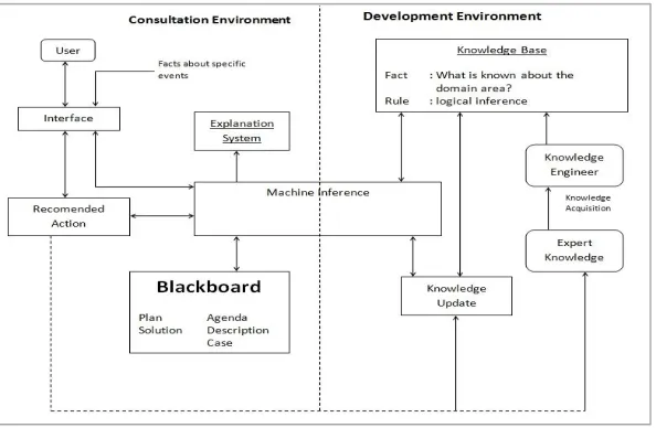 Figure 1 Expert System Environment  
