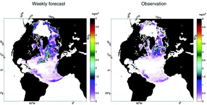 Fig. 10. Station M: monthly mean value and standard deviation of chlorophyll (left) and nitrate (right) concentrations from 2007 to 2009 in the depth interval 0–30 m