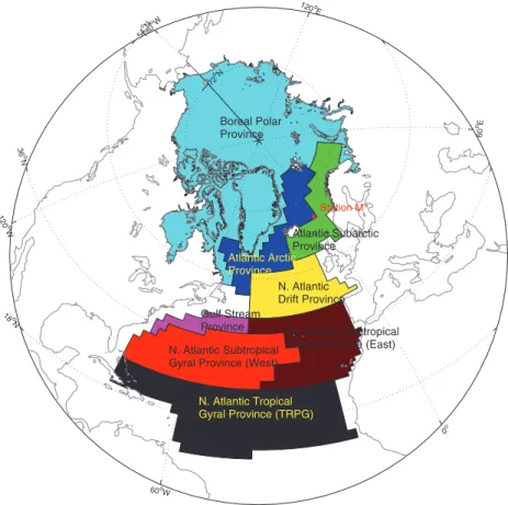 Fig. 1. Spatial domain and some Longhurst-based provinces of interest for the parameter estimation