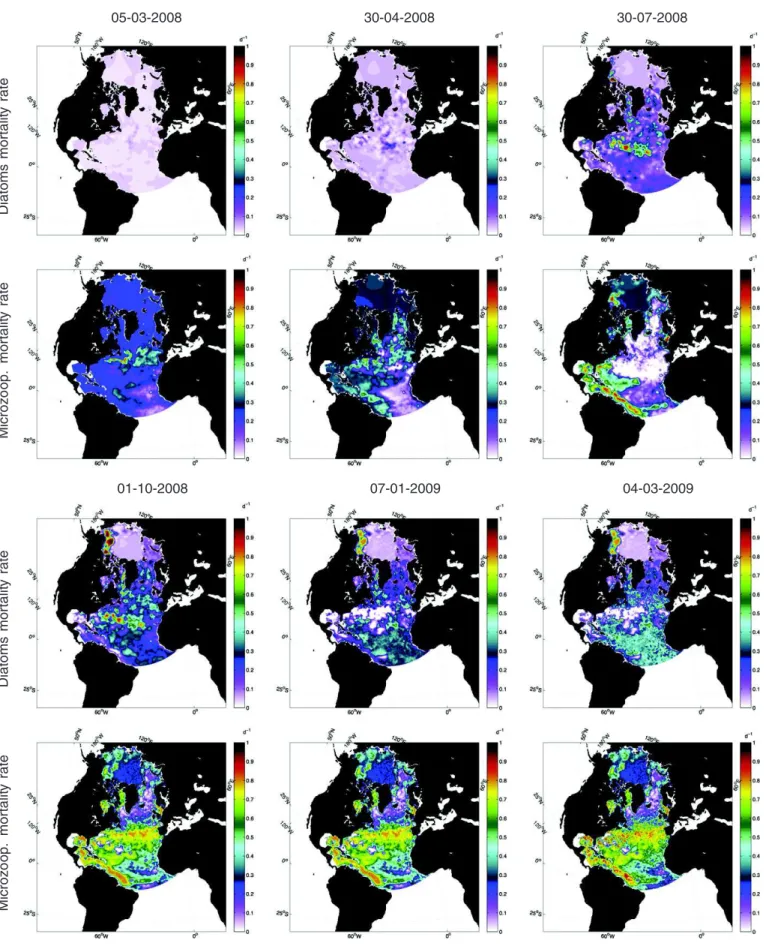 Fig. 3. Parameter estimation: spatial distribution of the diatoms and microzooplankton mortality rates (ensemble mean at the date of the analysis).