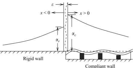 Figure 1. Schematic sketch of the problem under study. The ﬁgure is taken from ﬁgure 2 ofDavies & Carpenter (1997).