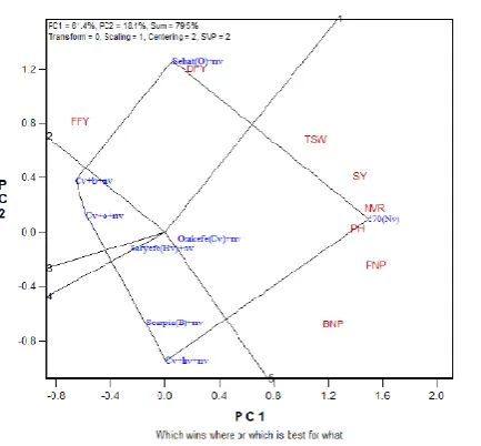 Figure 6.  Vector view mixtures by trait biplot, showing the interrelationship among measured traits for Narbon vetch candidate variety with 8 mixtures combinations