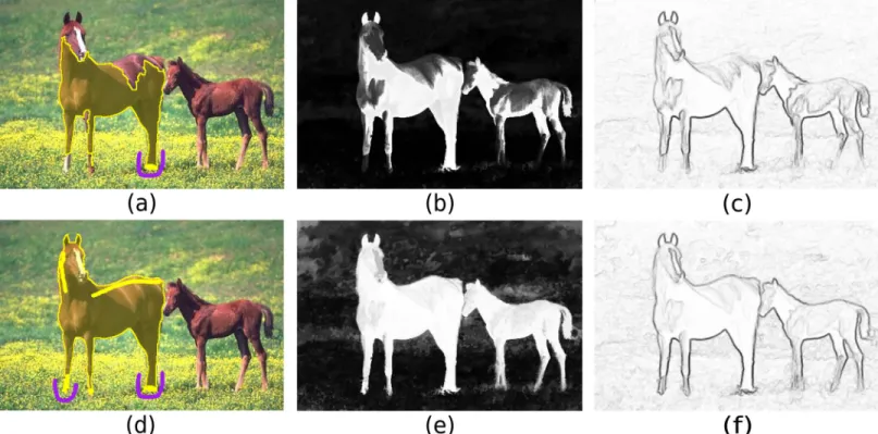 Fig 1. Example of interactive graph-based image segmentation. (a) The user draws labeled markers (a training set) inside and outside the object, and segmentation is based on optimum path competition from the markers in an image graph