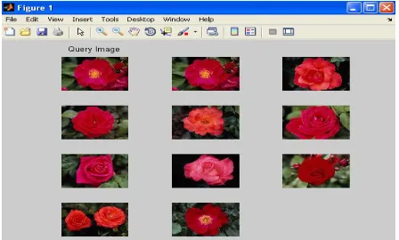 Figure 5: top 10 retrieved images for flower class 