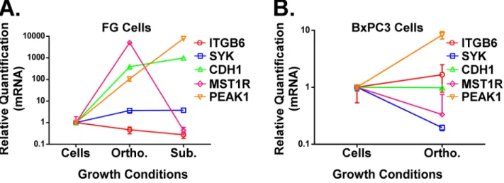 Figure 4:  A and B. qPCR analysis of ITGB6, SYK, CDH1, PEAK1 and MST1R in FG (A, KRas mutant G12D line) or BxPC3 (B, KRas  wild type line) PDAC cells grown under the indicated microenvironmental conditions