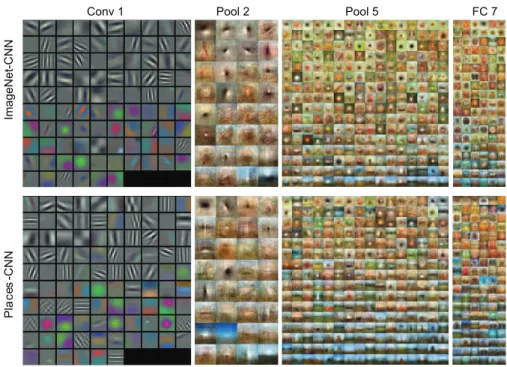 Figure 5: Visualization of the units’ receptive fields at different layers for the ImageNet-CNN and Places-CNN