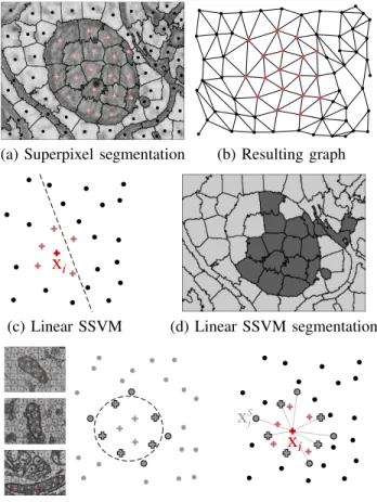 Fig. 3. Kernelized features. (a) A superpixel over-segmentation of an image.