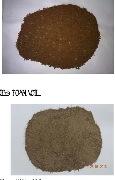 Fig. 1 Local Soil 