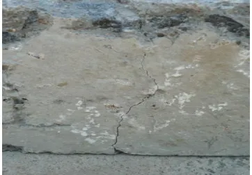 Fig. 7 Samples after Abrasion test 