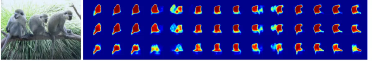 Figure 2: Output of segmentation model applied densely to a full image with a 16 pixel stride (at a single scale at the central horizontal image region)