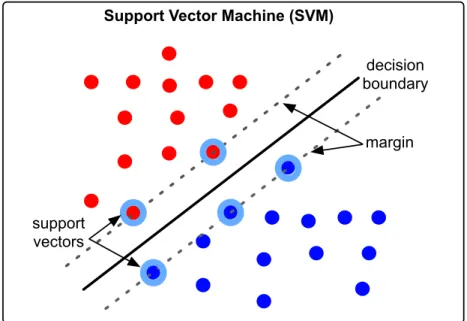 Figure 1.3: A schematic layout of Support Vector Machine (SVM). Blue and red dots are training instances in a two dimensional feature space, and two colors indicate two classes.