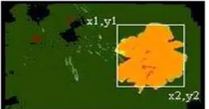 Figure 8:                     Segmented and normalized shape regions of images. 