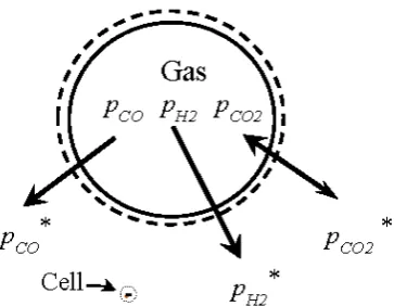 Figure 4.Figure 4. Schematic of gas to liquid mass transfer in the fermentation broth