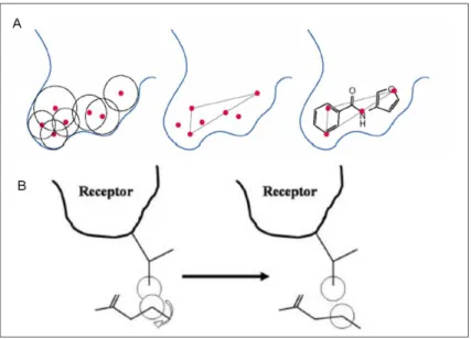 Fig. 2 A) Binding site definition in DOCK. B) Torsion angle variation in DOCK  