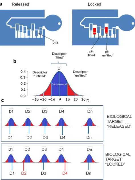 Fig. 3.3 From the lock to biological target. a) How a real lock works; b) The range  of “lock pin” molecular descriptors values (mean m ` s) can be considered the “pin  tolerance”;  c)  When  all  the  molecular  descriptors  values  fall  into  the  “pin 