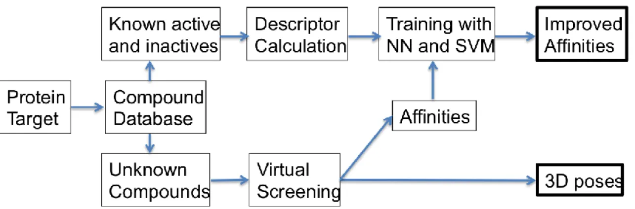 Figure 1. Flowchart of the experimental setup used in this work. 