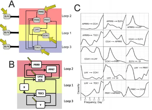 Figure 8A): Candidate gene network calculated using the both the harmonic and non-harmonic schemesUeda