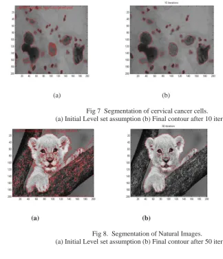Fig 8.  Segmentation of Natural Images. (a) Initial Level set assumption (b) Final contour after 50 iterations 