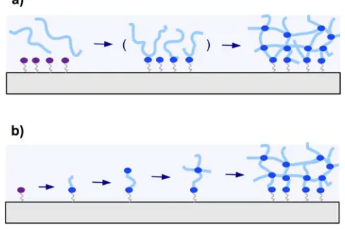 Figure 5. Schematic representation of (a) the “grafting to” and (b) the “grafting  from” techniques