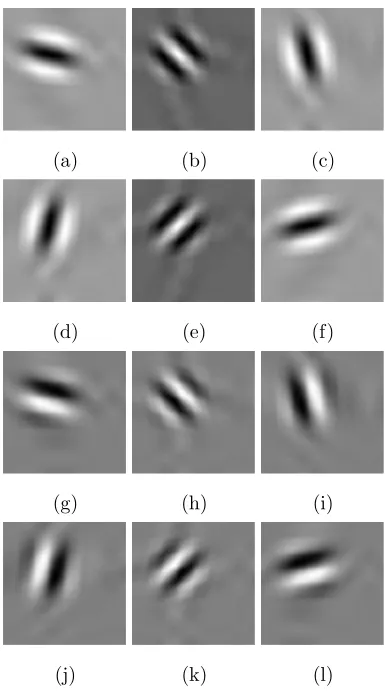 Fig. 1. The real and imaginary parts of the impulse response of the DT-CWT ﬁlters for the 6 directional subbands: (a) real, −15◦; (b) real,−45◦; (c) real, −75◦; (d) real, 75◦; (e) real, 45◦; (f) real, 15◦; (g) imaginary, −15◦; (h) imaginary, −45◦; (i) imaginary, −75◦; (j) imaginary,75◦; (k) imaginary, 45◦; and (l) imaginary, 15◦.