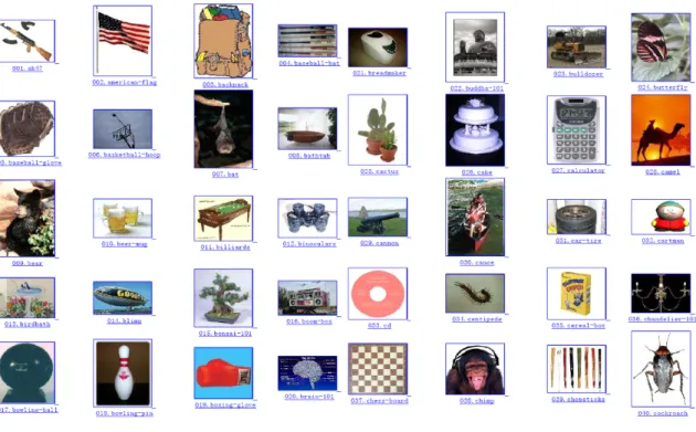 Figure 1.1: 40 samples from the first 40 categories in the Caltech-256, one sample per category.