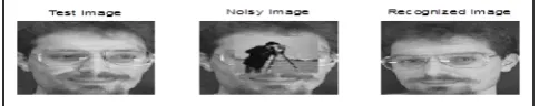 Fig.8: Sparse Classification in Salt & Pepper Noise with noise 