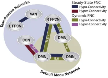 Fig. 7. The control network chronnectome in ASD.
