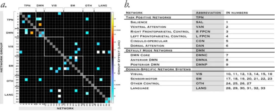 Fig. 2. Steady-state FNC diﬀerences in ASD.