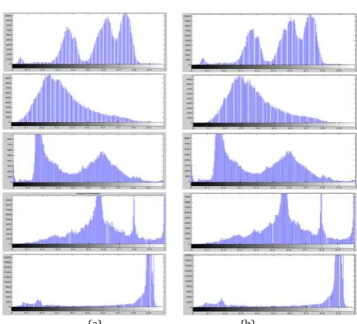 Figure 7: (a)original frames  (b) watermarked frames 