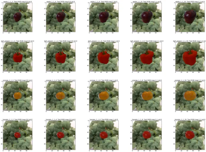 Fig. 4. Example of test images consisting of transformed objects magnified by the ratio 0.8, 0.9, 1.1 and 1.2 and test background image.
