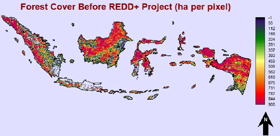Fig. 1:  Forest Area in Indonesia. 