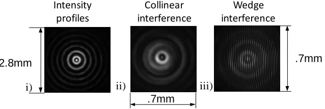 Fig. 5.  = 2 component of Path B from Fig. 1. (i) intensity profile (ii) collinear interference with a Gaussian beam (iii) wedge interference with a Gaussian beam 