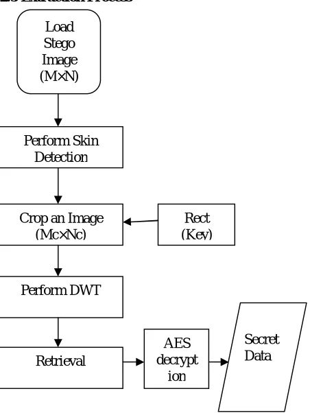 Fig. 5: Flow Chart of Extraction Process 