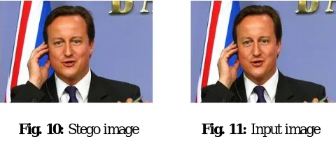 Fig. 10: Stego image 