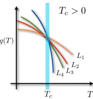 Figure 2.5: Sketch of Binder ratio g(T ) for the Sherrington-Kirkpatrick model with different system sizes N as a function of temperature T 