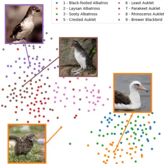 Figure 1. t-SNE [23] visualization of 300 samples from the first 8 training classes from CUB [37]