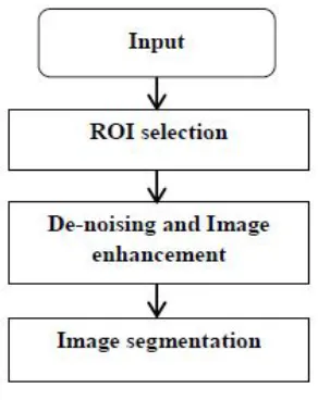 Figure 3 Flowchart of the pre-processing step 