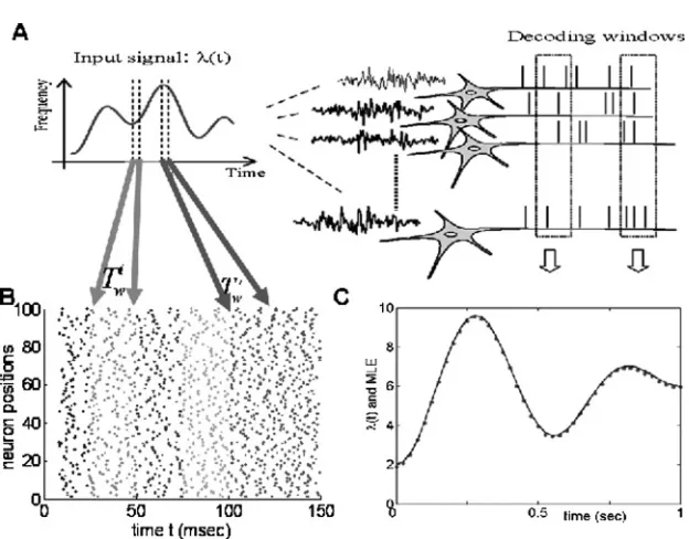 Figure 4: MLE in a network without interactions. (A) Schematic plot of readingdynamic inputs from an ensemble of neurons