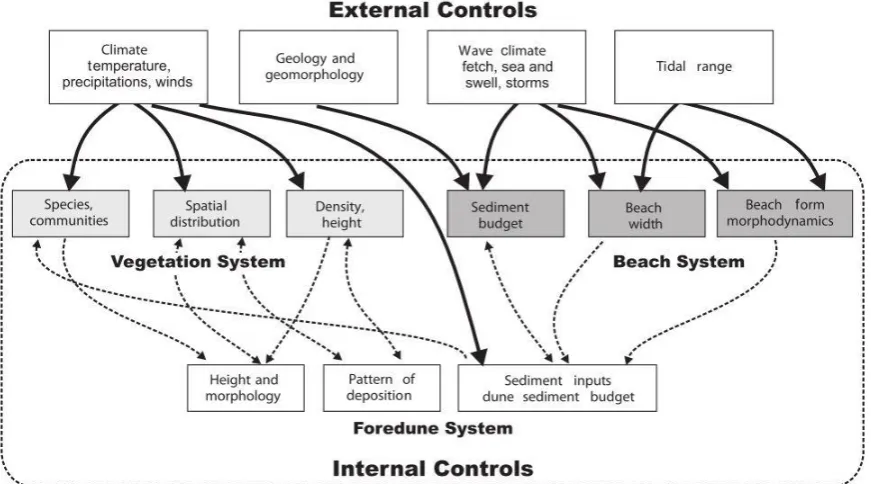 Figure 2: Framework that shows the controls on dune development (Reed et al., 2009) 