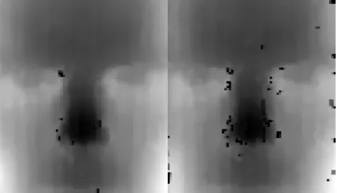 Fig. 3: Range image without hole ﬁlling. Left: Combined,Right: Raw