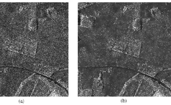 Figure 1.2: Example of (a) speckle noise and (b) the same image after noise reduction (NL-means method implementation developed during current research)