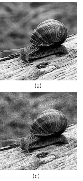 Figure 2.3: Example of image denoising: (a) original image, (b) same image with intentionally added Gaussian noise, (c) Gaussian blur filter applied to the noisy image and (d) NL-means filter applied to the noisy image with σ = 18