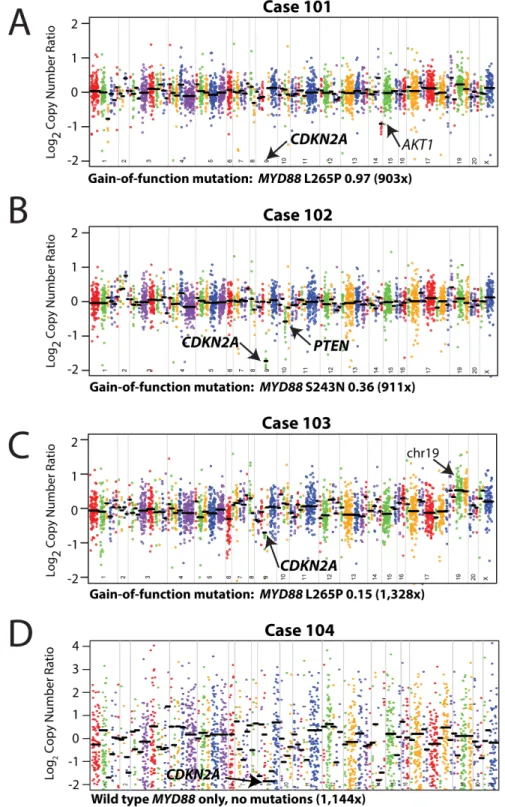 Figure 3: Mutation and copy-number analysis of vitreoretinal lymphomas from next generation sequencing data