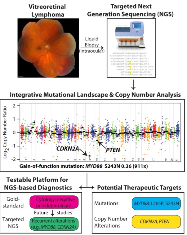 Figure 4: Workflow of determining driver and potentially actionable genomic alterations