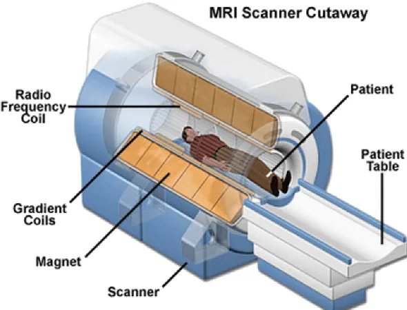 Figure 2.1: Cutaway of closed-bore MRI scanner, obtained from [11]