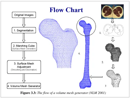 Figure 3.3: The flow of a volume mesh generator (NLM 2001)